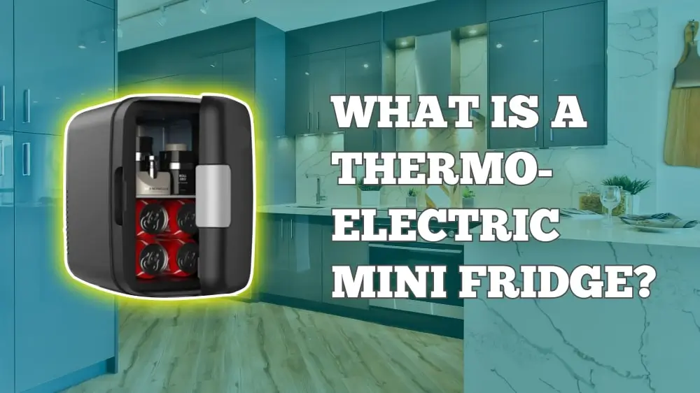 what is a thermoelectric mini fridge